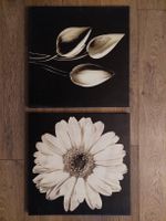 2er Set Blumen-Bilder auf Leinwand – je 50x50 cm, stilvoll
